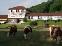 Domaine du Revermont - Logis Hotel