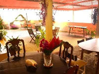 Le Cactus Guesthouse - Bữa sáng