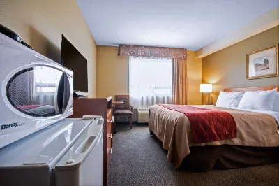 Comfort Inn & Suites Hotel di Aldergrove