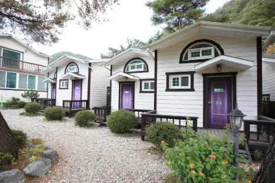 Hongcheon Lime Valley Pension Hotel in zona Alpaca World