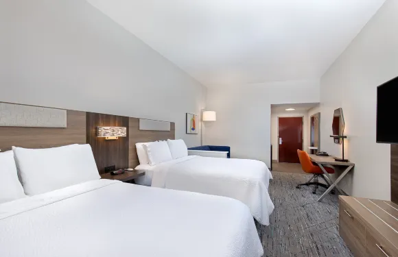 智選假日酒店-薩凡納南I-95-列治文山