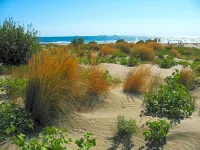 Hotel Villa Orio & Beatrice - de playa