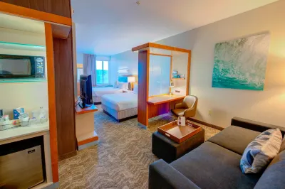 SpringHill Suites Macon Отели в г. Бибб