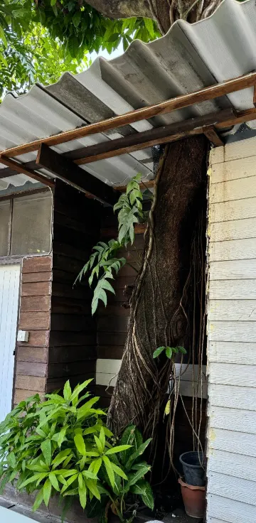 ห้องพัดลม-ไม่มีแอร์