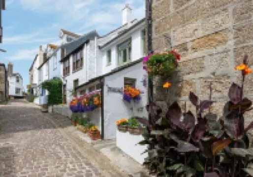 Cosy cottage on pretty cobbled lane by the harbour