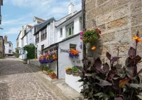 Cosy cottage on pretty cobbled lane by the harbour