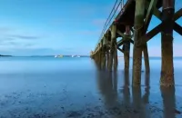 Entire Lower Level of the House, Across From The Beach
