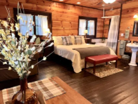 Romantic Cabin with Jetted Tub!  Minutes to Branson Landing and 76 Strip