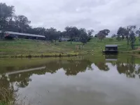 Beautifully appointed Tiny House.