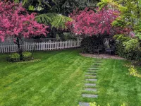 Quiet  Mid- Century Charmer Near Seattle Airport Hotels in Burien