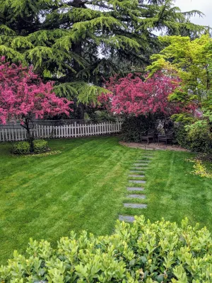 Quiet  Mid- Century Charmer Near Seattle Airport