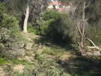 Paradise Retreat Hotel a Paradise Beach