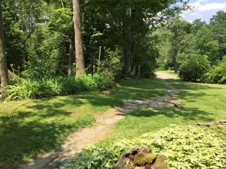 Retreat of falling waters