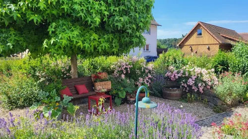 Modern and cozy 3-room apartment in the heart of Middle Franconia