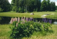 Golfer's Getaway - Luxury Studio Next to 1st Tee