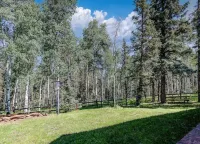 Log cabin style home on secluded 48 acre property