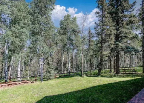 Log cabin style home on secluded 48 acre property