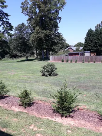 Hickory Tiny House, short and long term rentals