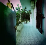 Villa Rosa Residence Green