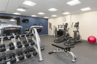 Hampton Inn & Suites Chicago/Schaumburg - Gym