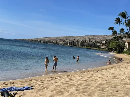 Sea La Vie Secluded Oceanfront condo, Magical Sunrise romantic honeymoon Getaway