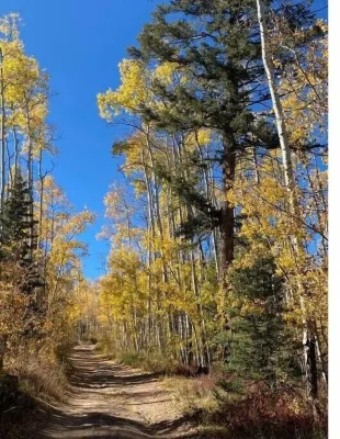 Mount Princeton View Condo STR#-268