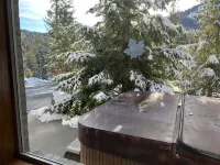 Mountain hideaway, minutes from Mission Ridge Ski and Board Resort