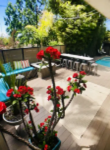 Private 5 Star Oasis with Pool/Spa - Close to Action - Tropical Modern Studio