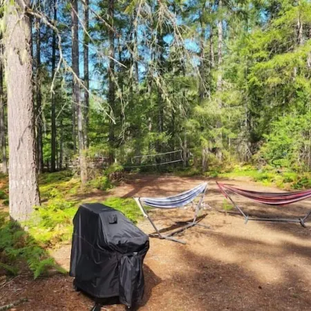 San Gregorio - A Cozy & Dog Friendly Forest Retreat