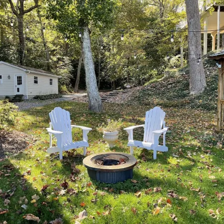 Discover tranquility near Calvert Cliffs