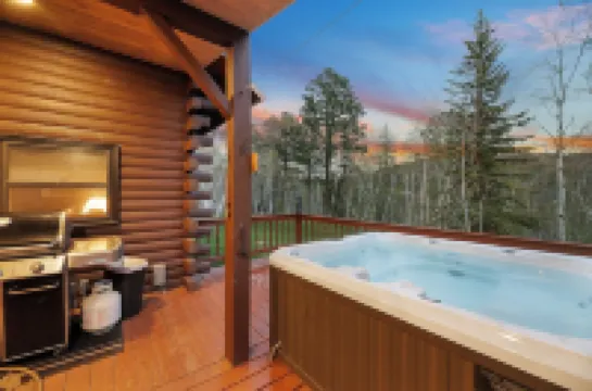 Circle J Lodge, Relaxing pet friendly cabin at Terry Peak with new hot tub!