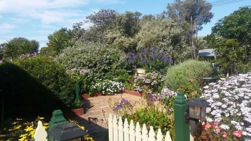 WATTLE-B-COTTAGE LOCHSPORT PET FRIENDLY