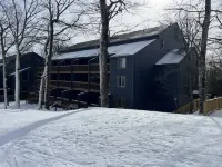 Ski-In/Ski-Out Comfy Condo