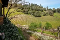 ✨Rustic Cabin in Dry Creek Valley with beautiful views // 5 miles to Plaza ✨