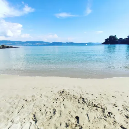 Design house with pool.