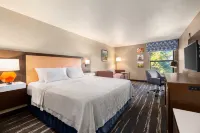 Hampton Inn Tracy Hotels in Tracy