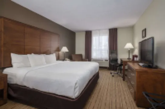 Comfort Inn - Gander Hotels in 