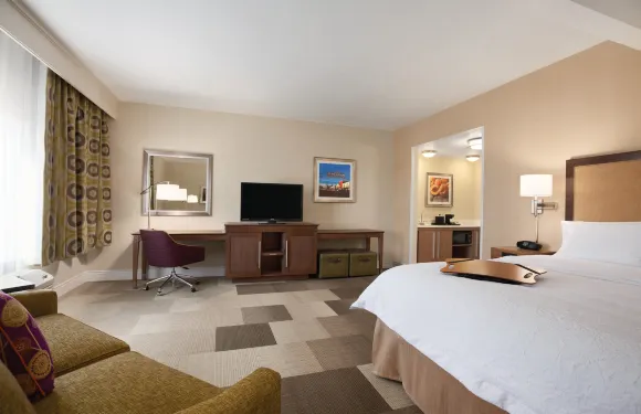 希爾頓歡朋酒店-不裏格姆城