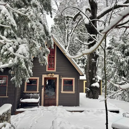 Fairytale Themed Secluded Cabin- Pets ok, King Bed, Fast Wi-Fi!
