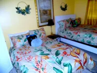 Stunning Gulf Views-Clean All Renovated-Holiday Villas Lll-Near Clearwater Beach