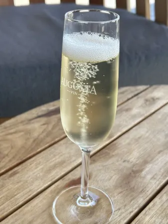 Casa Mariposa/Charming Private Hideaway/Great Central Location/Cantina/Firepit