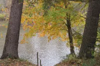 Private, Quiet, Riverfront 3 bedroom Cottage at Woy Bridge Campground & Cabins