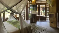 On Vacation Amazon - Bares
