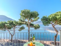 Lavarello