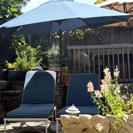 Ocean View Laguna Beach Cottage, Private Garden 700ft to 1000 Steps Beach Entry