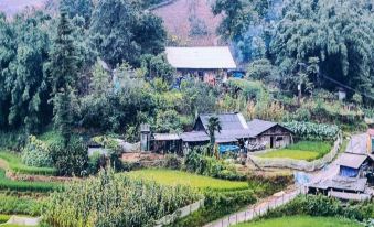 Saparis Station Hostel & Travel
