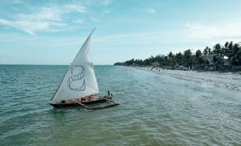 Sahari Zanzibar