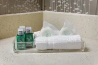 Monte Carlo Inn Airport Suites - Parking