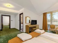 Hotel Casa Viorel Hotels near Ruia