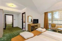 Hotel Casa Viorel